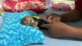 Tryinq Father Change Diaper After Full Day Play  At The Eveninq