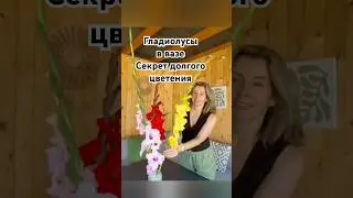 секрет долгого цветения гладиолусов в вазе #сад #дача #цветы #гладиолусы #gladiolus #garten
