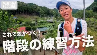 【がんばらないトレラン】階段練習、実はこれだけで十分でした