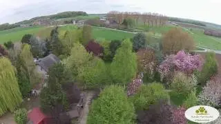 Hunde-Parkhotel Viersen in der Nähe von Mönchengladbach / Krefeld / Düsseldorf