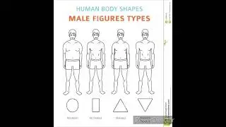 Types of Male body shapes