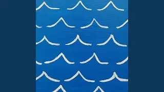 Dolphin Dave
