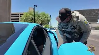 Click It or Ticket