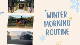 Equestrian Winter Morning Routine ❄️