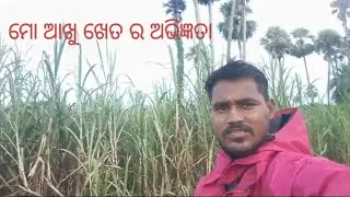 Mo Akhu Kheta Ra Abhigyata(ମୋ ଆଖୁ ଖେତ ର ଅଭିଜ୍ଞତା)