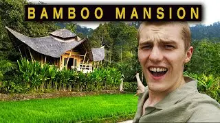 Bamboo Airbnb IN THE RICE FIELDS! (Selat, Bali) 🇮🇩