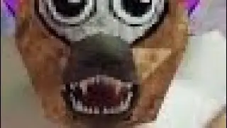 I&rsquo;m a genius #k9 #fyp #funny #entertainment #comedy #viral #challenge #dance #music #trending #short