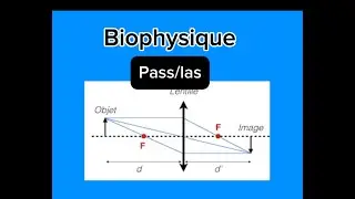 Lentille divergente, optique géométrique,  biophysique Pass / las