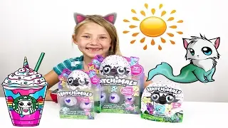 Mini Hatchimal Colleggtibles Toy Review Hatchimal Blind Bag