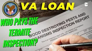 Real Estate: Who Pays The Termite Inspection VA Loan