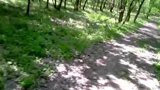 ATV prin padure