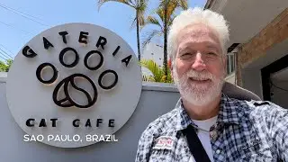 Gateria Cat Cafe - Sao Paulo Brazil 🐈