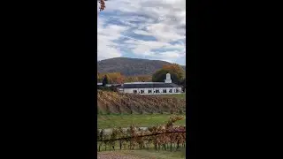 Wineries in Charlottesville