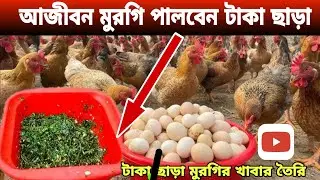 আজীবন মুরগি পালন তাও আবার টাকা ছাড়া। ডিম পাড়া মুরগির ফিট ছাড়া খাবার তৈরিjenia's busy life