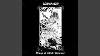 Floating Embers from the Black Flames
