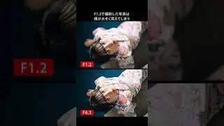 F値を絞るべきシーンとは？#shorts
