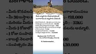 Business Startup Ideas || Potato  Farming Business || Agriculture Business || Business Ideas Telugu