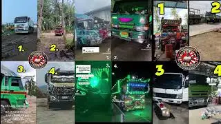 Best Of Papap Dol 4 Feet Horn Tiktok Trending Video Compilations
