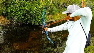 Best Bowfishing Bows 2024 - Top 5 Best Bowfishing Bows On Amazon