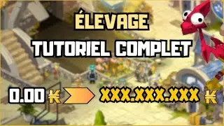 TOUT SAVOIR SUR L'ÉLEVAGE EN 2024 POUR DEVENIR RICHE SUR DOFUS - [GUIDE ULTIME ÉLEVAGE]