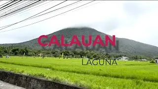 La Cuacha sa Calauan, Laguna | Riverdel Resort | Rambutan & Lanzones Farm Visit