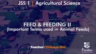 Feed & Feeding II (Important Terms used in Animal Feeds) - JSS1 Agric