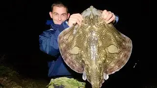 Beach Fishing Autumn 2020 - Shore Fishing - Undulate Ray