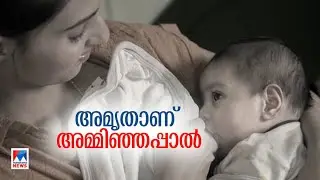 ലോക മുലയൂട്ടല്‍ വാരാചരണം; അമൃതാണ് അമിഞ്ഞപ്പാല്‍; അബദ്ധധാരണ വേണ്ട| World Breast Feeding Week