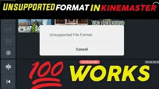 kinemaster mein format not supported file kaise support Karen