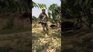 Orchard Weeding Shoulder Brush Cutter Tackles Slopes with Ease#farming​ #agriculture​ #treecare​