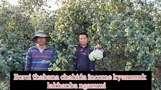 Boroi thabana Chahida Income Kayamuk lakpa ngammi