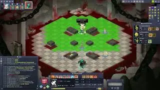 Dofus Koliseo - Sadida Vs Selotrop