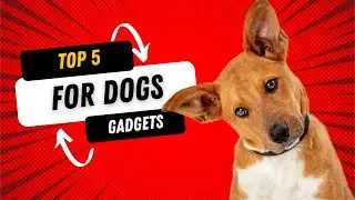✅ 5 Mind Blowing Gadgets Every Dog Owner Must Have!