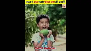 Top 8 Most Famous Mango Varieties in India 🇮🇳