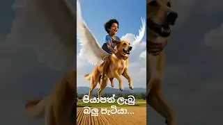 short story for kids#Adventure #cute dog secret journey  #funny#sinhala