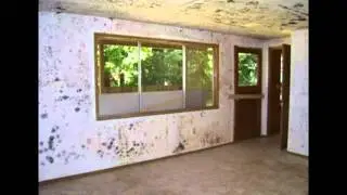 Mold Removal Services in New Jersey ( NJ ) | Guaranteed Mold Removal by MMRG Mold Remediation!