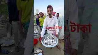 The fish are 1000 taka.