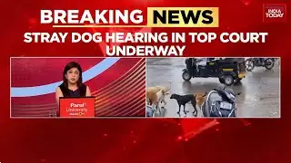 Stray Dog Menace: Furious SC Summons All Chief Secretaries, Slams States For Non-Compliance