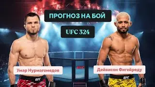 UFC 324.Прогноз на бой: Умар Нурмагомедов - Дейвисон Фигейредо.