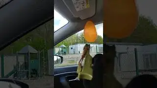 Pop the  Orange balloon #Funny #toys #shooting #ASMR #プロセカ