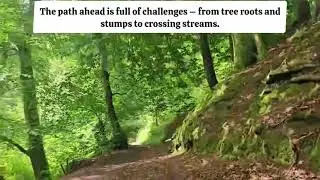 Thrilling ride on my custom mountain bike cargo rig through winding trails and stunning nature! From