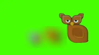 Baraem Owl Brown Green Screen