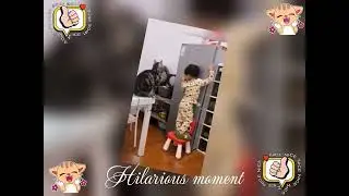 I Thought I Was Smart Until This Happened#funny #funnyvideos #entertainment