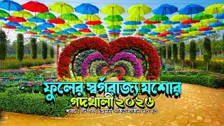 ফুলের রাজধানী যশোরের গদখালী 2026 || পাইকারি ফুল মার্কেট গদখালী || গদখালী || যশোর #godkhali #jessore