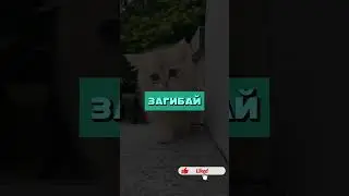ТВОЙ ПАПА ИДЕАЛЬНЫЙ,ЕСЛИ ЭТИ ФАКТЫ ПРО НЕГО☺️❤️&zwj;🔥