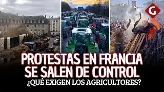 Agricultores hacen INCREÍBLES PROTESTAS EN FRANCIA: tiran estiércol y bloquean autopistas | Gestión