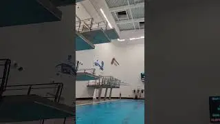 Diving. Inward one and a half pike