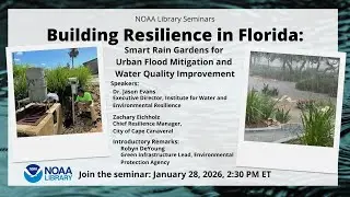 Building Resilience in Florida: Smart Rain Gardens for Urban Flood Mitigation