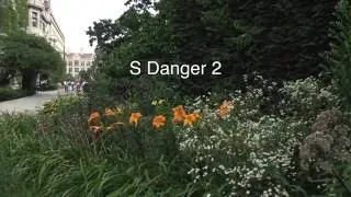 7.8 S Matrix Dangers, Part 2