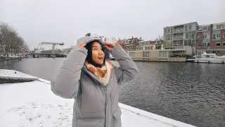 อุณหภูมิ 0 องศาฯที่ Haarlem ประเทศเนเธอร์แลนด์ หิมะตก